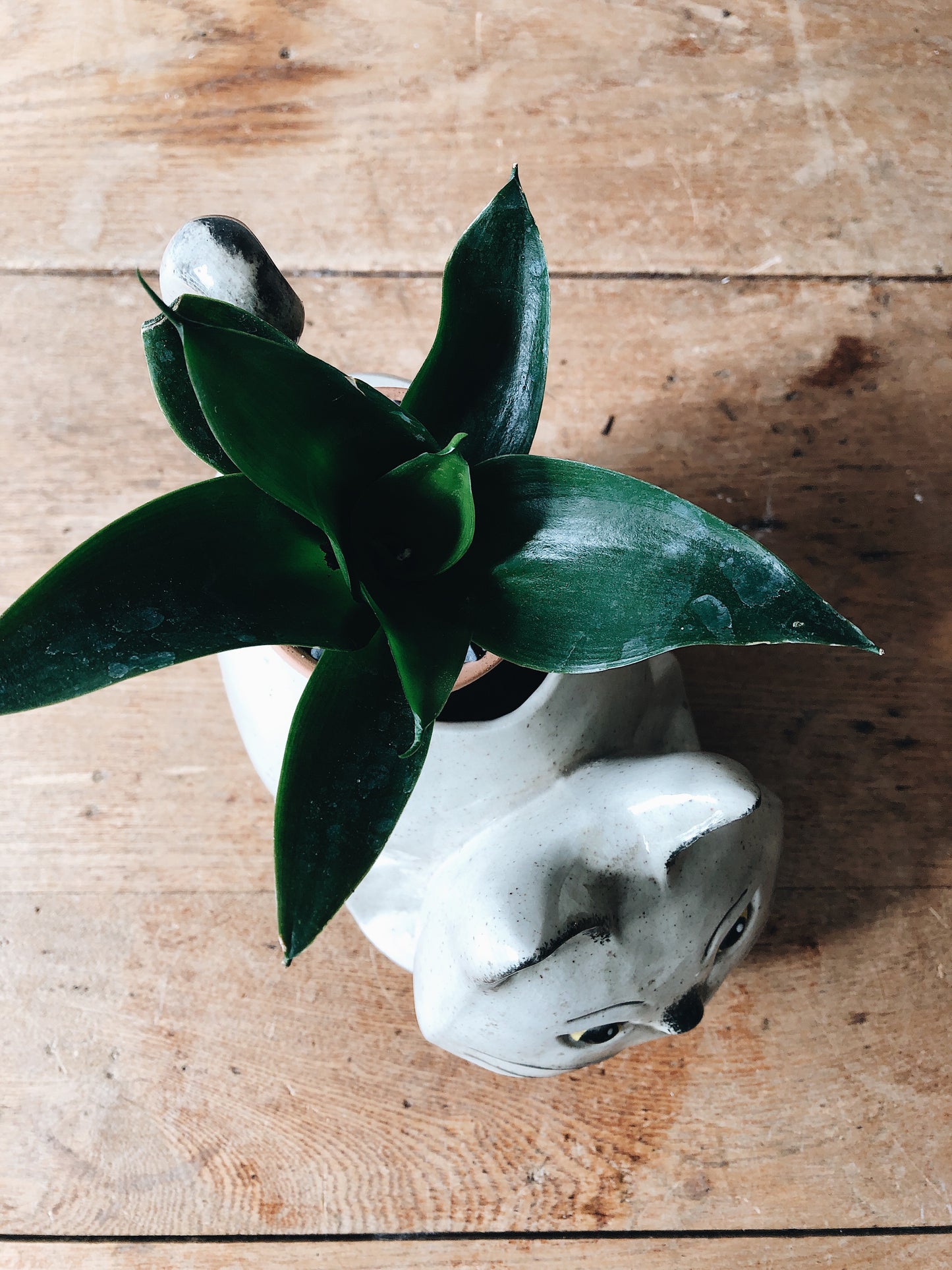 Vintage Kitty Ceramic Planter