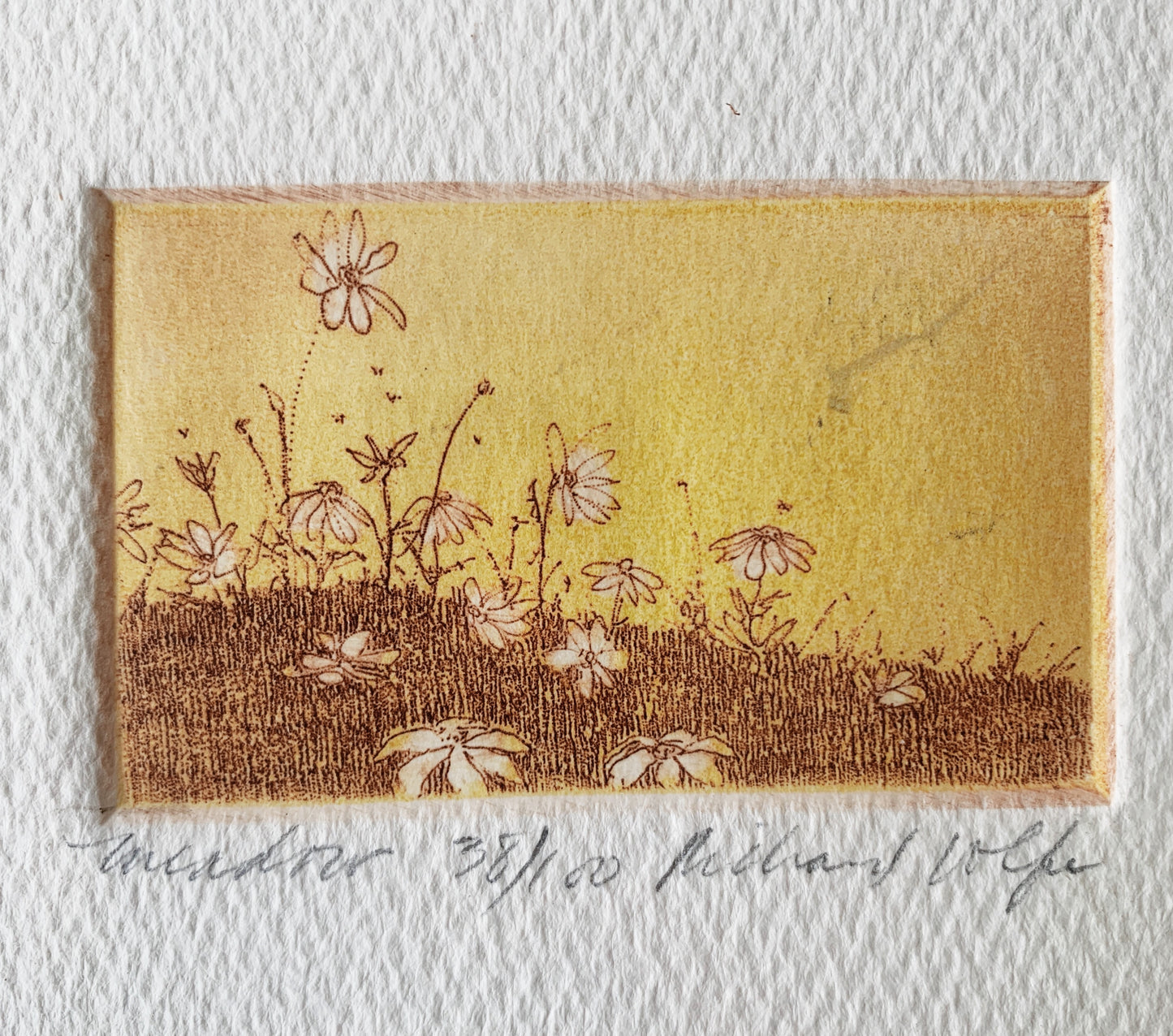 Original Vintage Framed Etching
