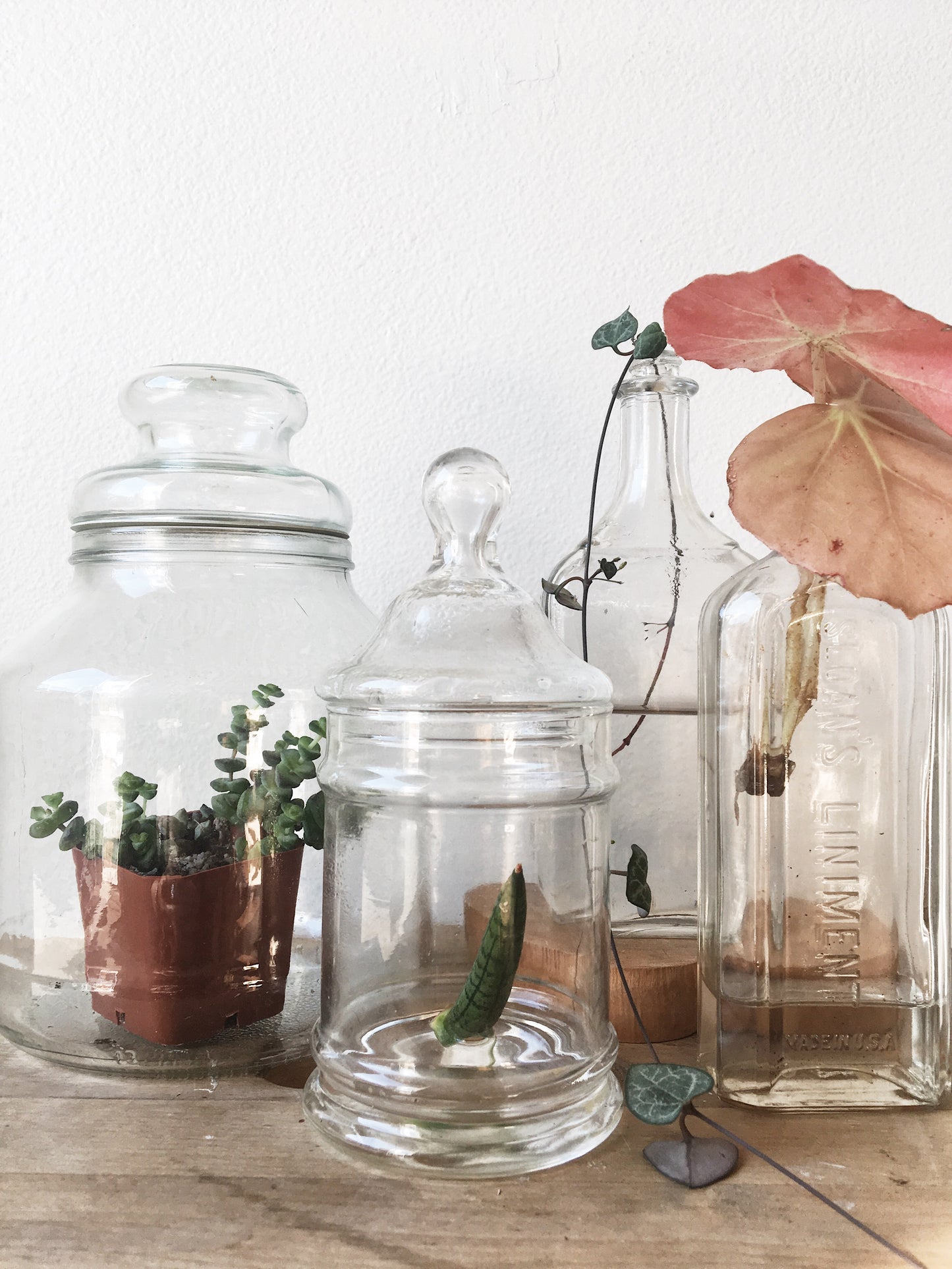 Glass Collection