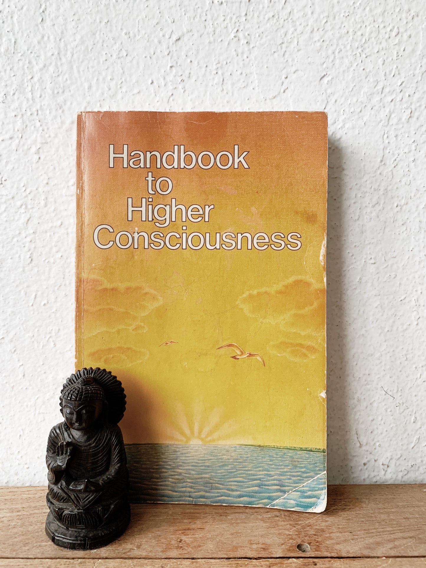 Vintage Handbook to Higher Consciousness