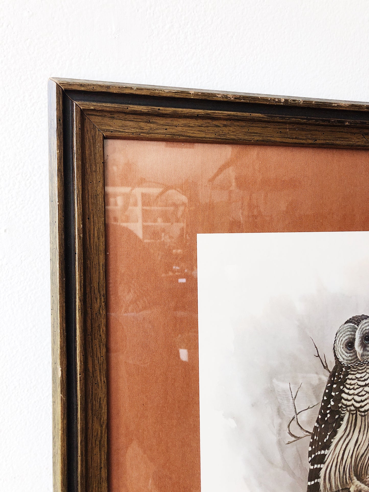 Vintage Framed Rambow Owl Lithograph