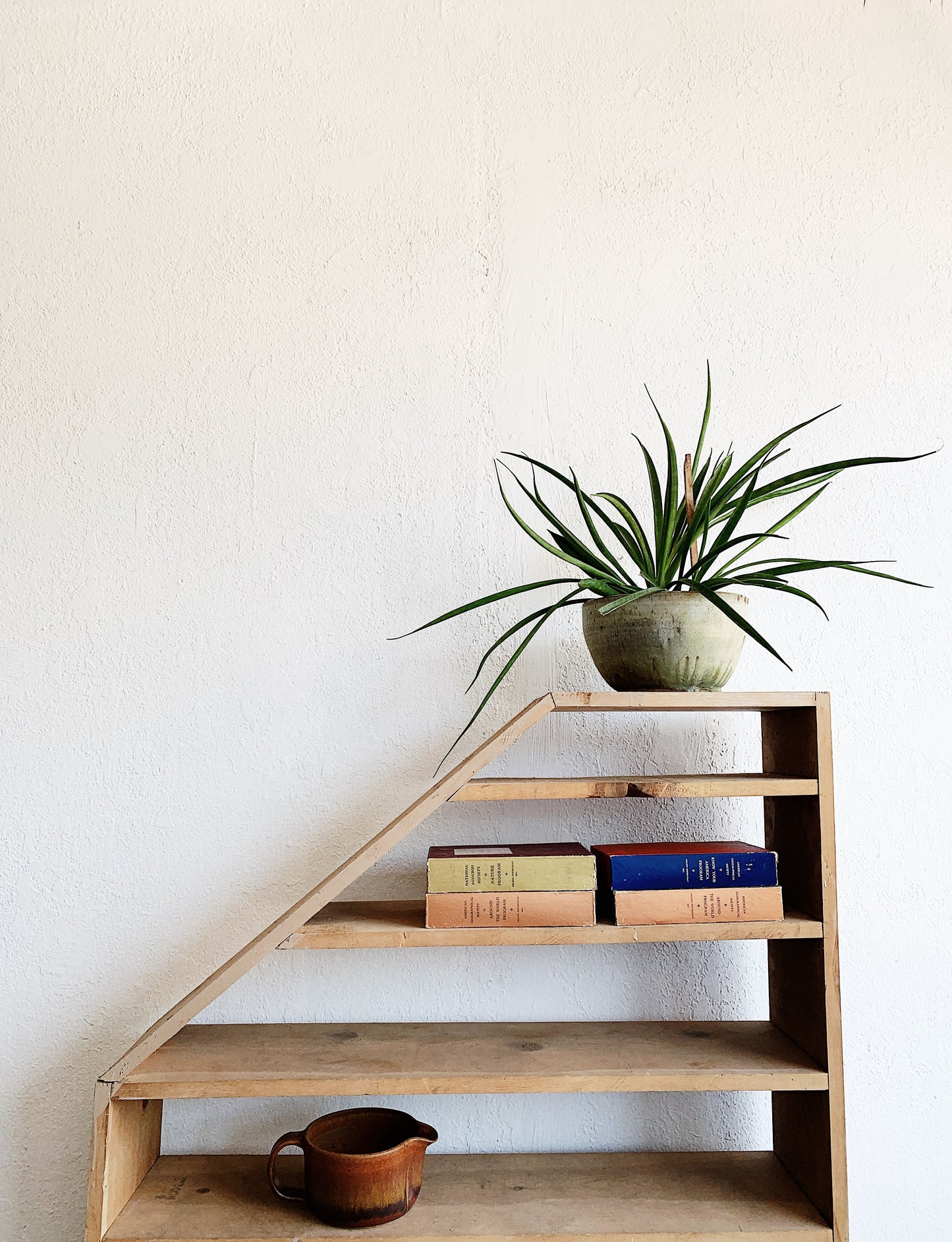 Handmade Wood Shelf
