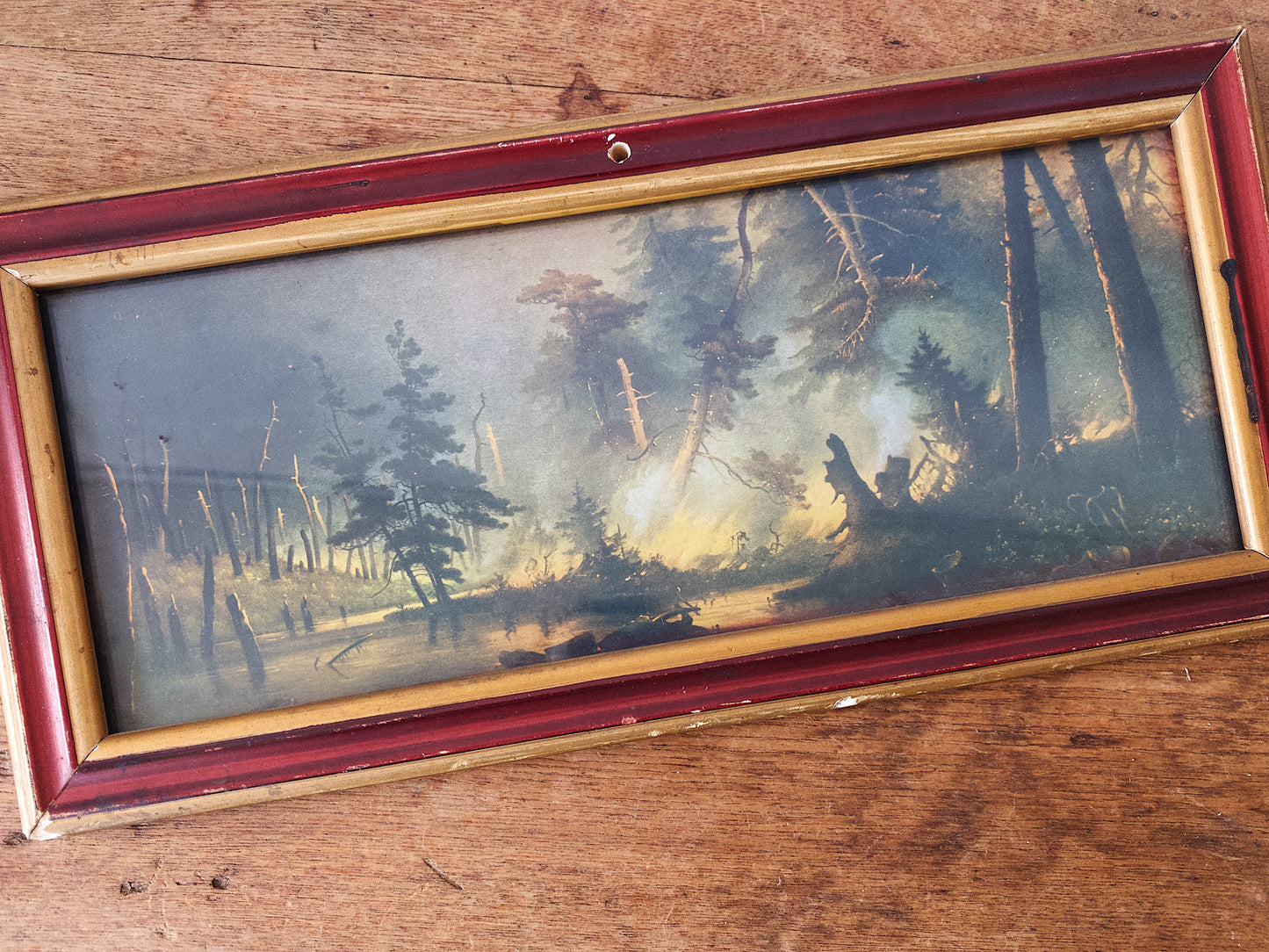 RESERVED for SHANNON