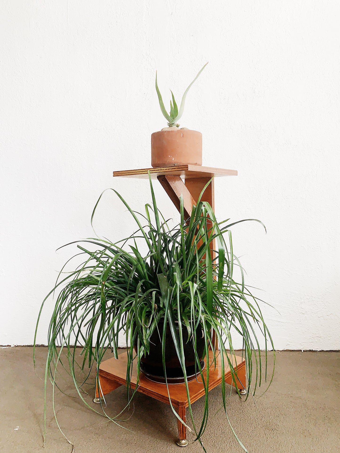 Handmade Wood Double Plant Stand