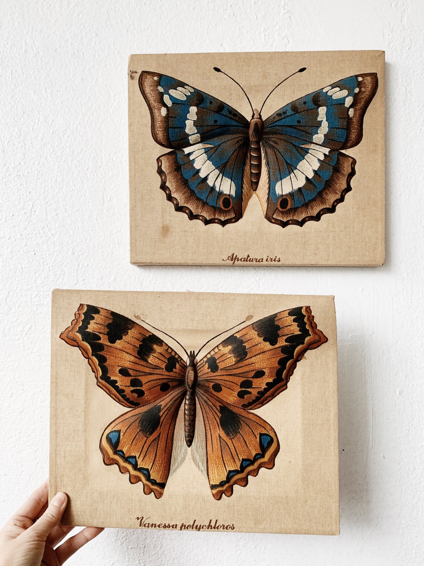 Vintage Stretched Canvas 3D Fabric Butterfly
