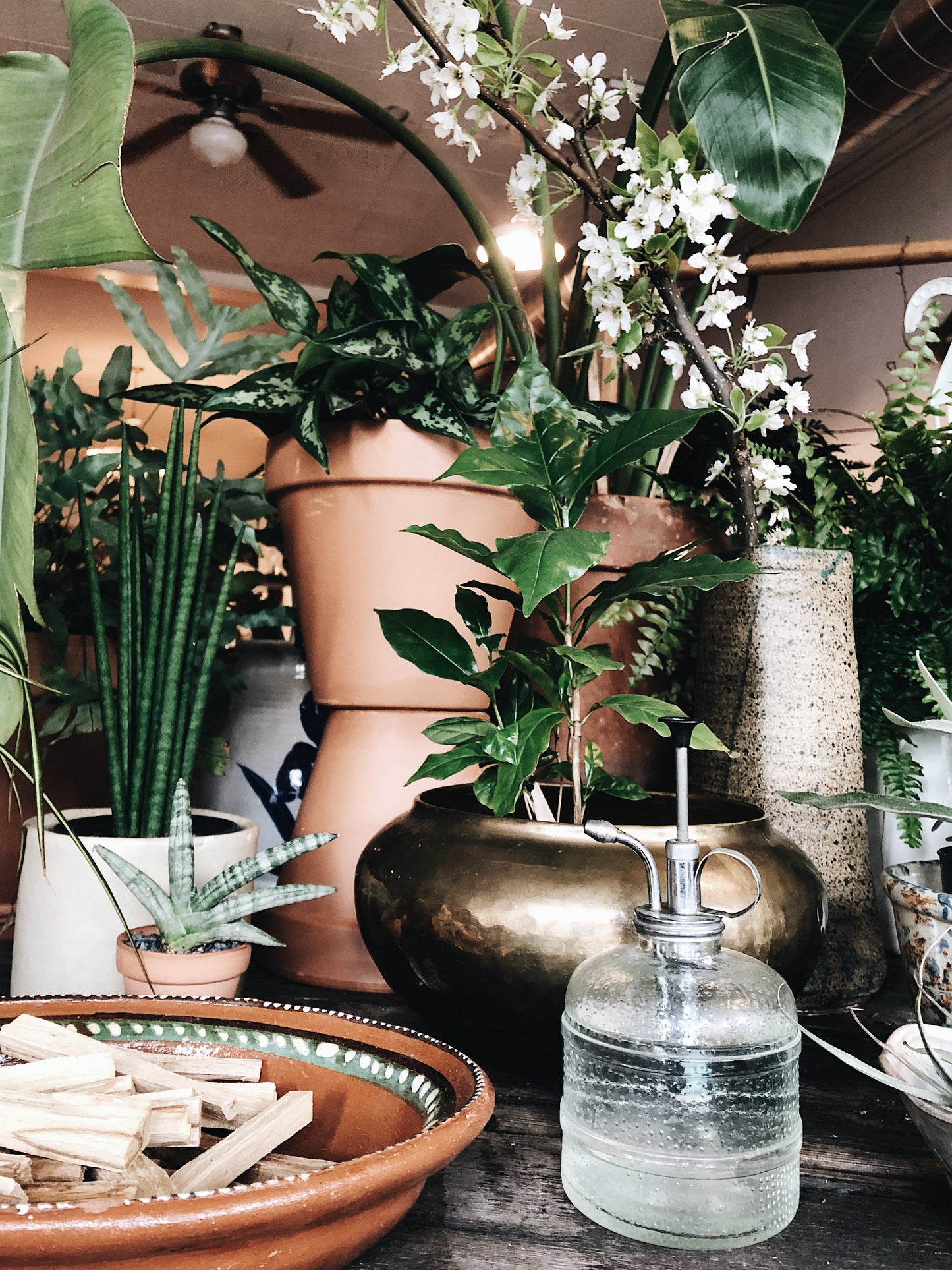 Vintage Glass Plant Mister