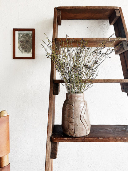 Antique Ladder Shelf