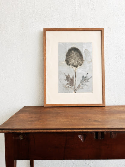 Large Vintage Botanical Etching
