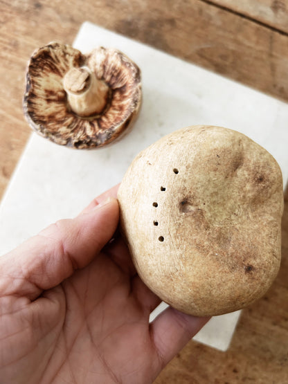 Ceramic Mushroom Salt and Pepper Shakers