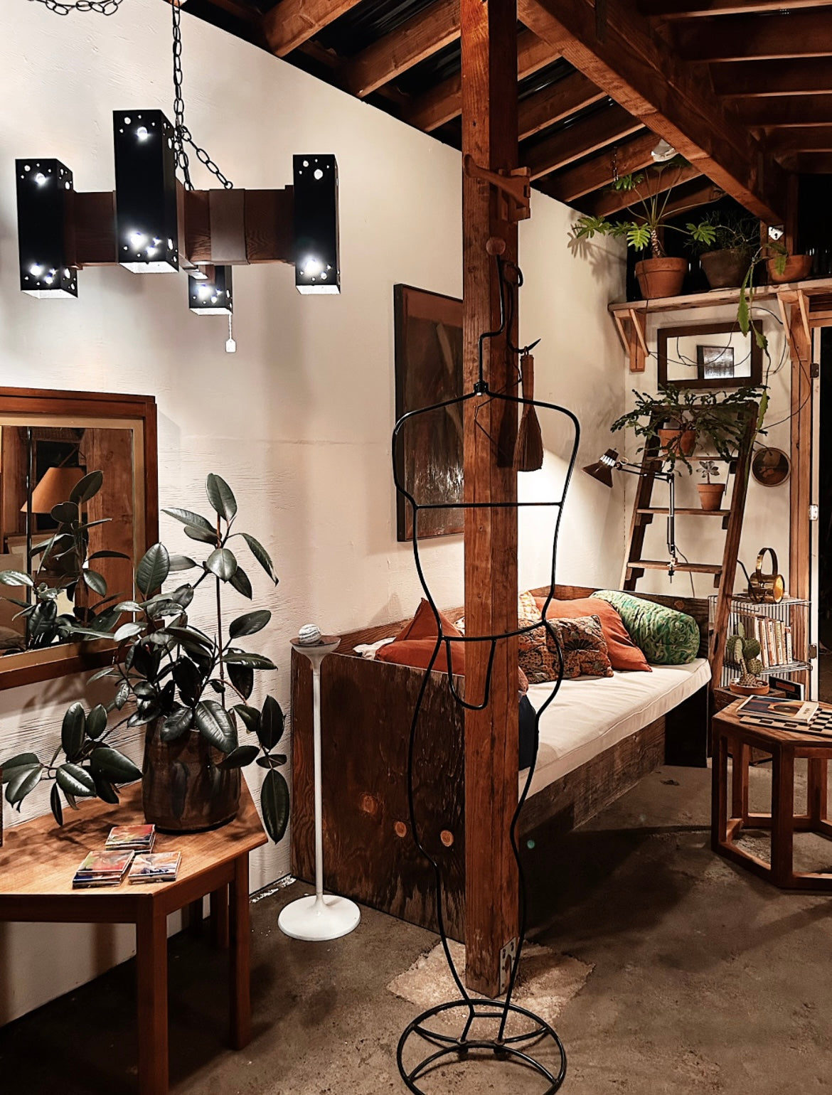 Ficus Elastica Potted in Vintage Ceramic