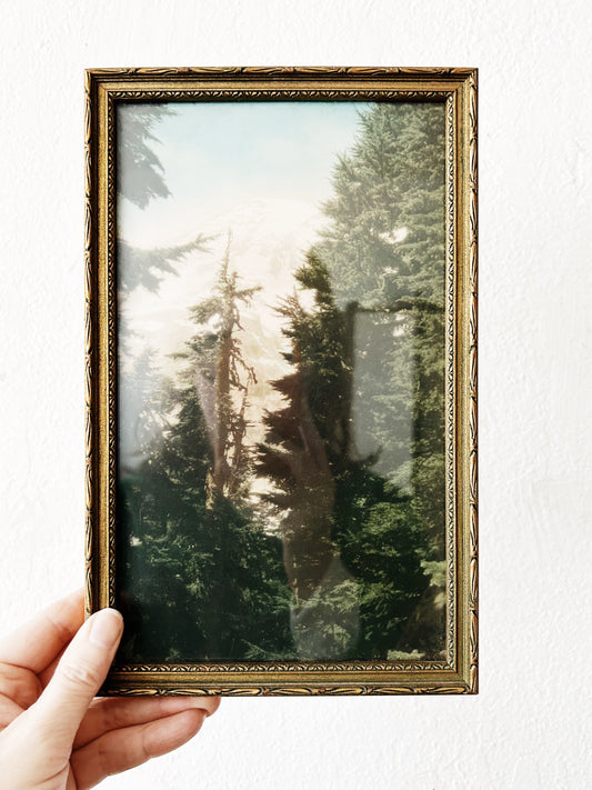 Antique Hand Tint Framed Photograph