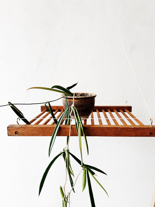 Handmade Vintage Wood Hanging Shelf