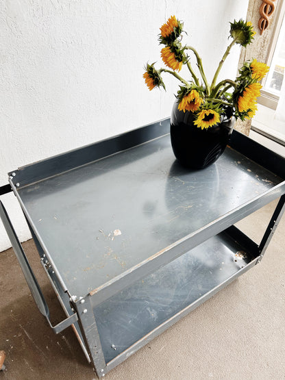 Large Industrial Cart
