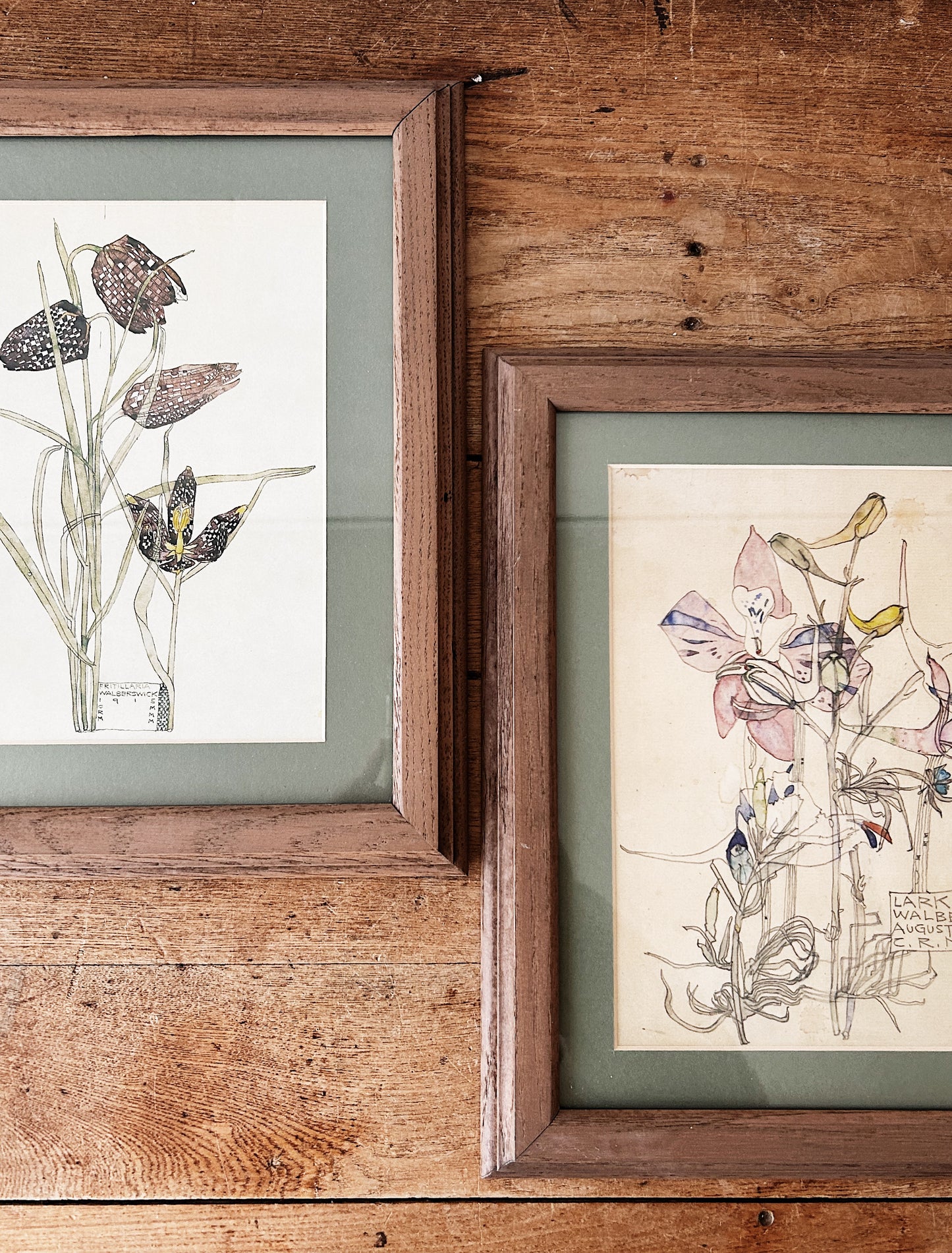 RESERVED Renee Macintosh Art Nouveau Prints