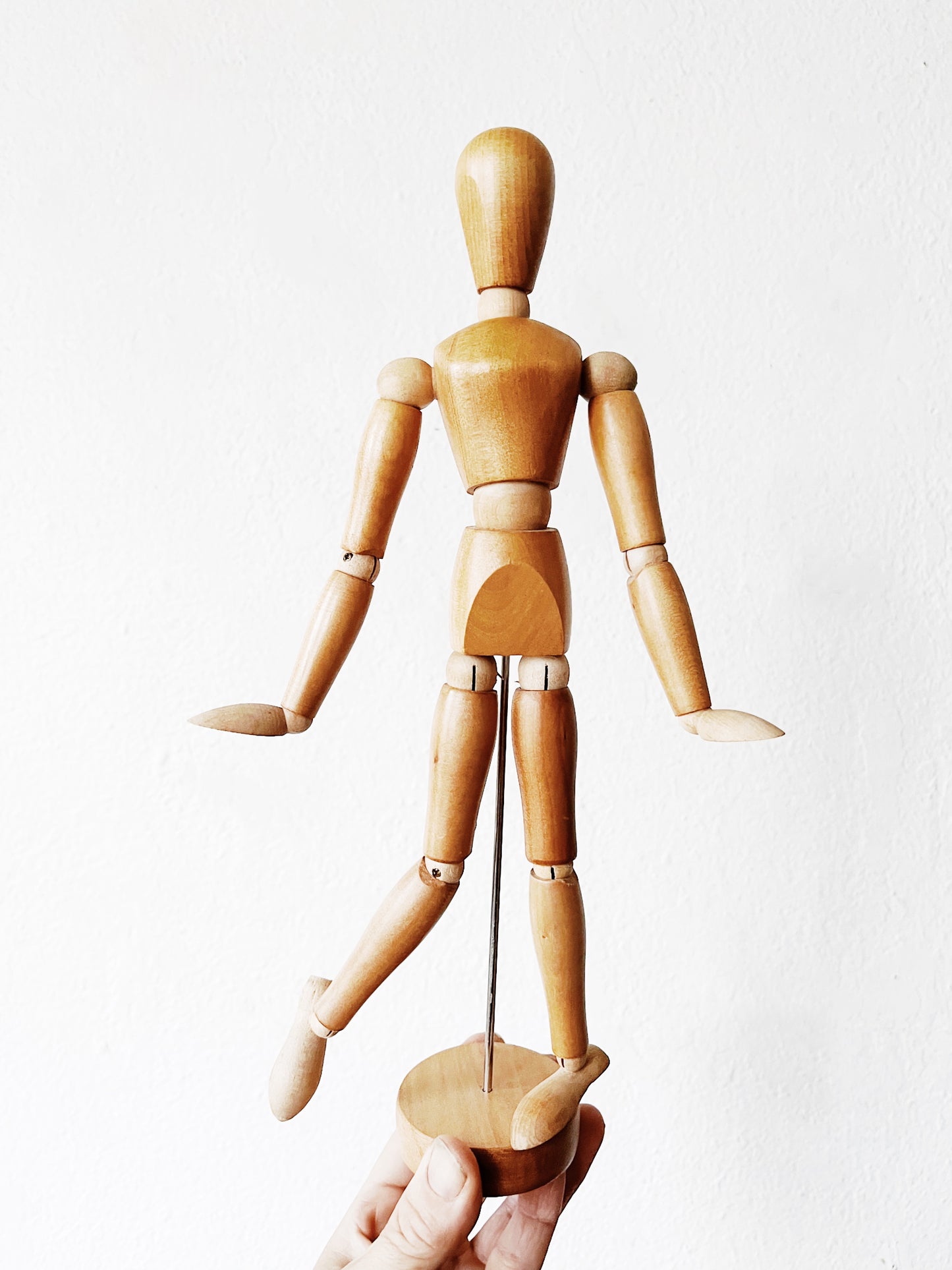 Wooden Articulating Model