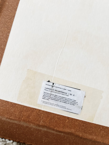 RESERVED Renee Macintosh Art Nouveau Prints