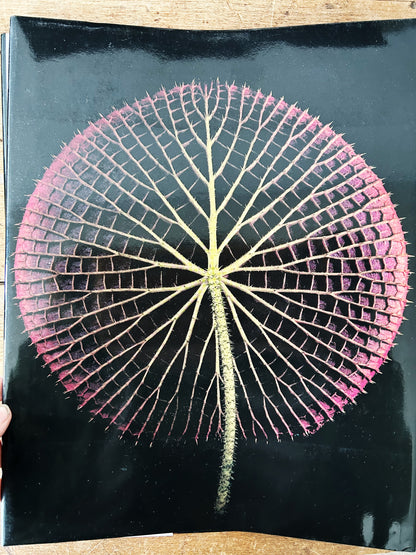 Botanica Magnifica Large Format Hard Cover Art Book