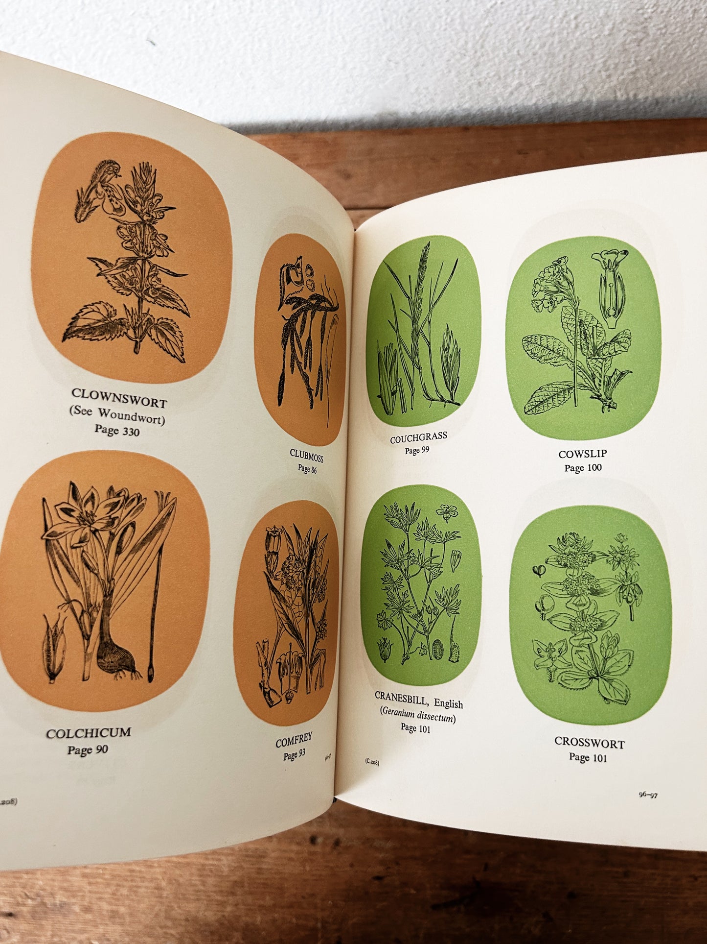 Potter’s New Cyclopaedia of Botanical Drugs and Preparations c1956