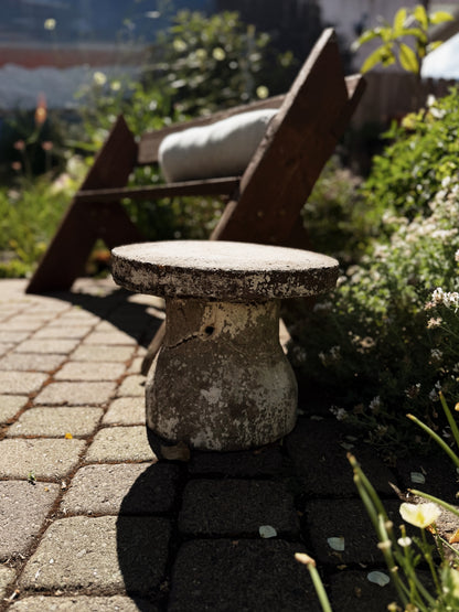 Antique Cement Pedestal Table
