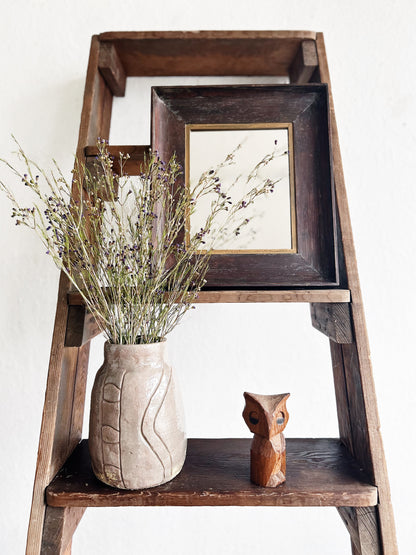 Antique Ladder Shelf