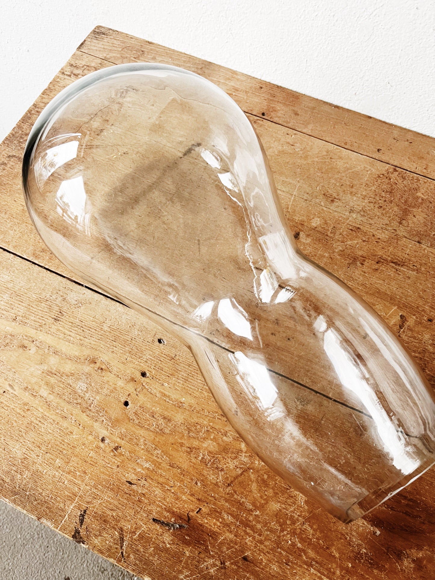 Large Biomorphic Blown Glass Terrarium or Water Garden
