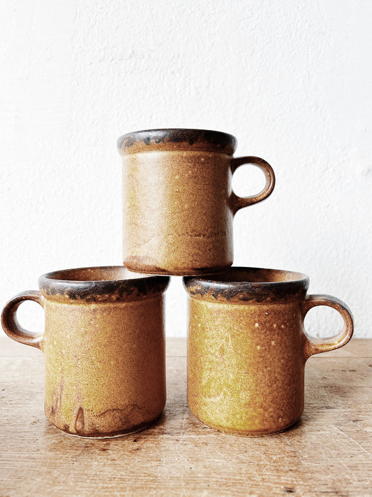 Vintage McCoy Canyon Mug Trio