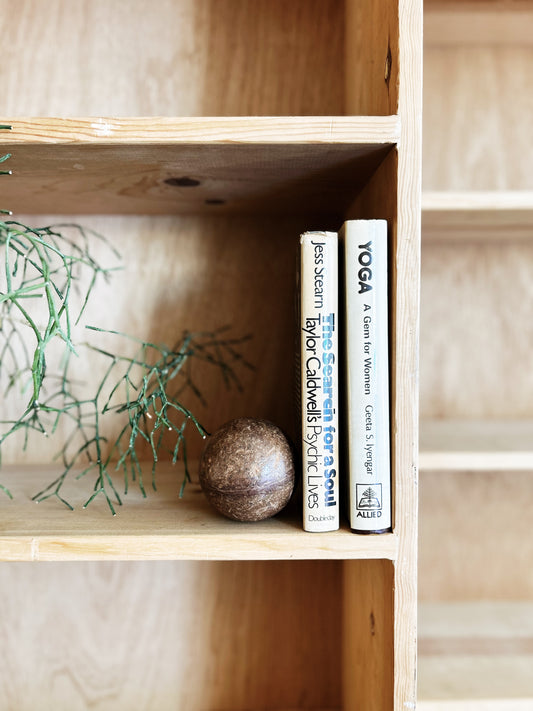 Natural Pine Wall Sized Bookshelf