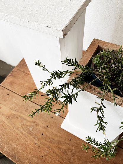 Sturdy Wood Display Stand