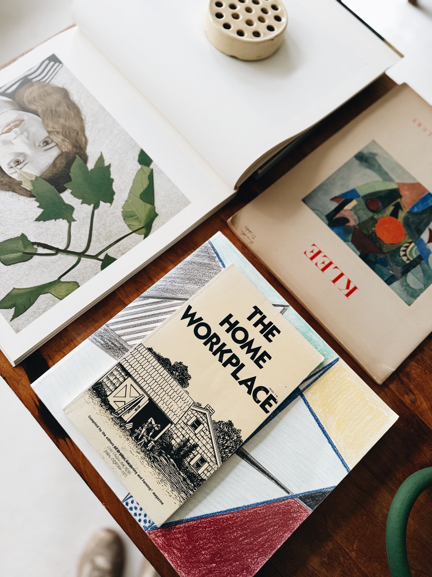 Vintage Homesteading Book