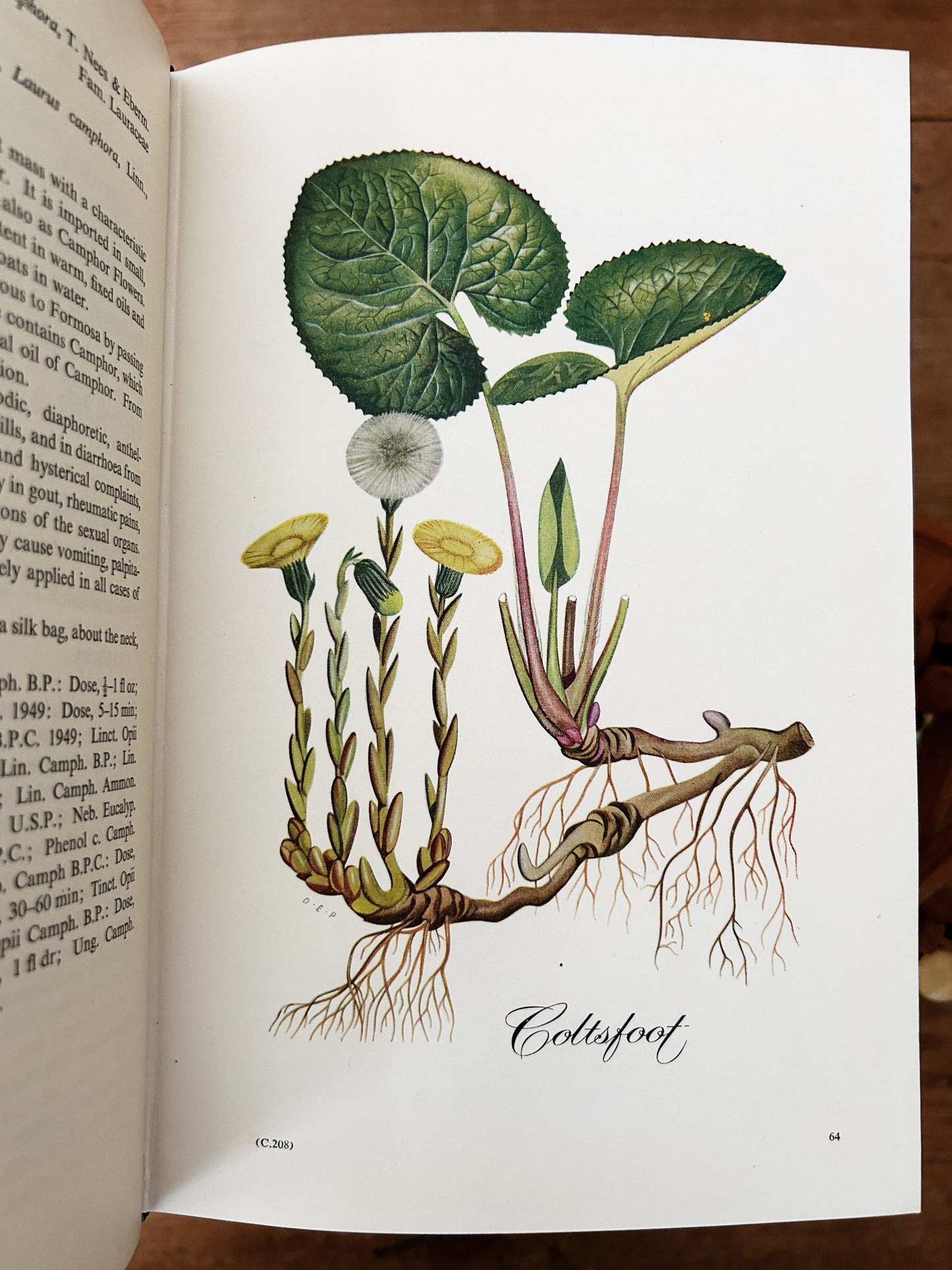 Potter’s New Cyclopaedia of Botanical Drugs and Preparations c1956