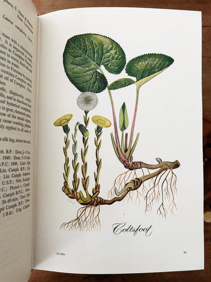 Potter’s New Cyclopaedia of Botanical Drugs and Preparations c1956