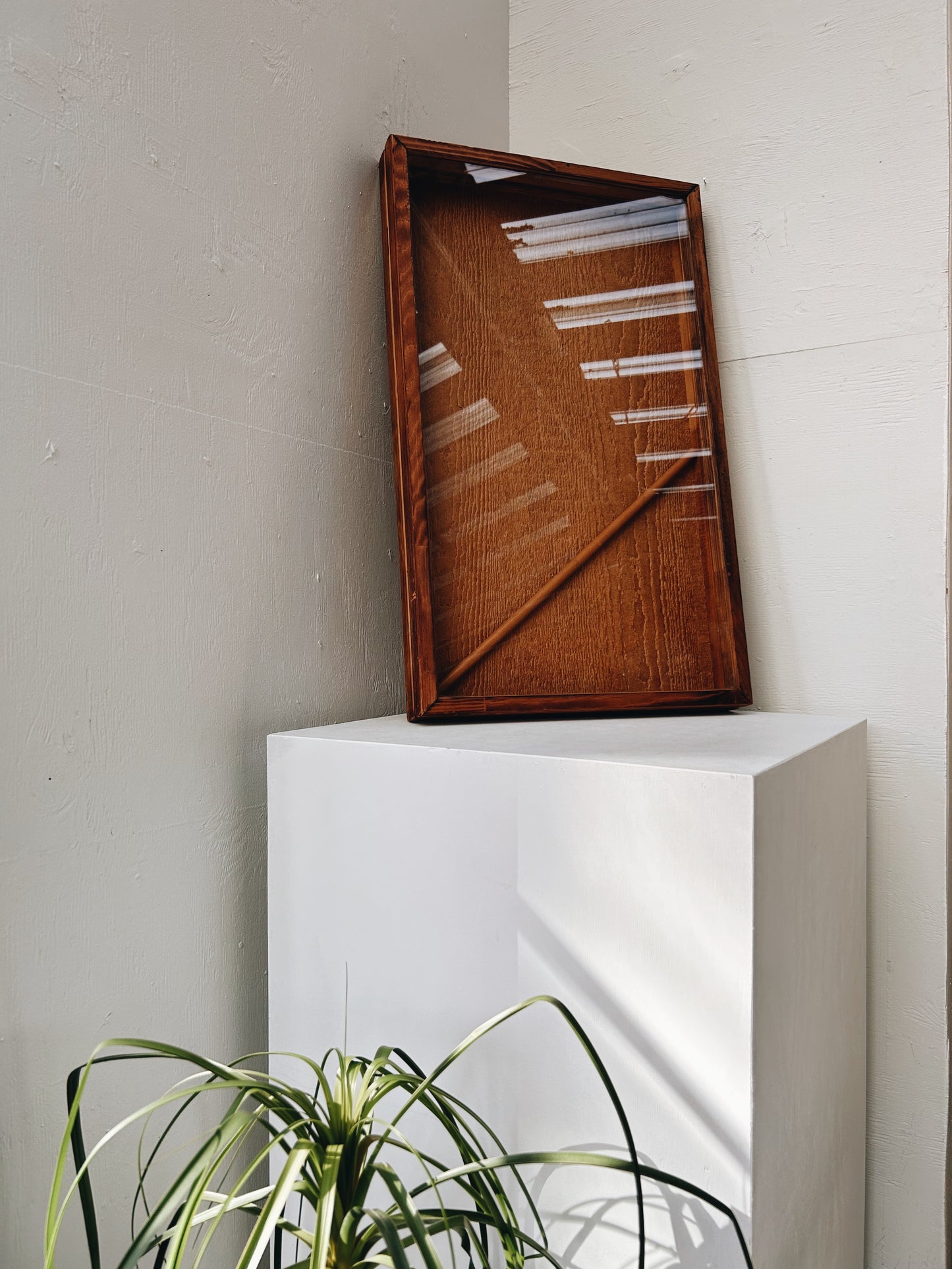 Vintage Display Case