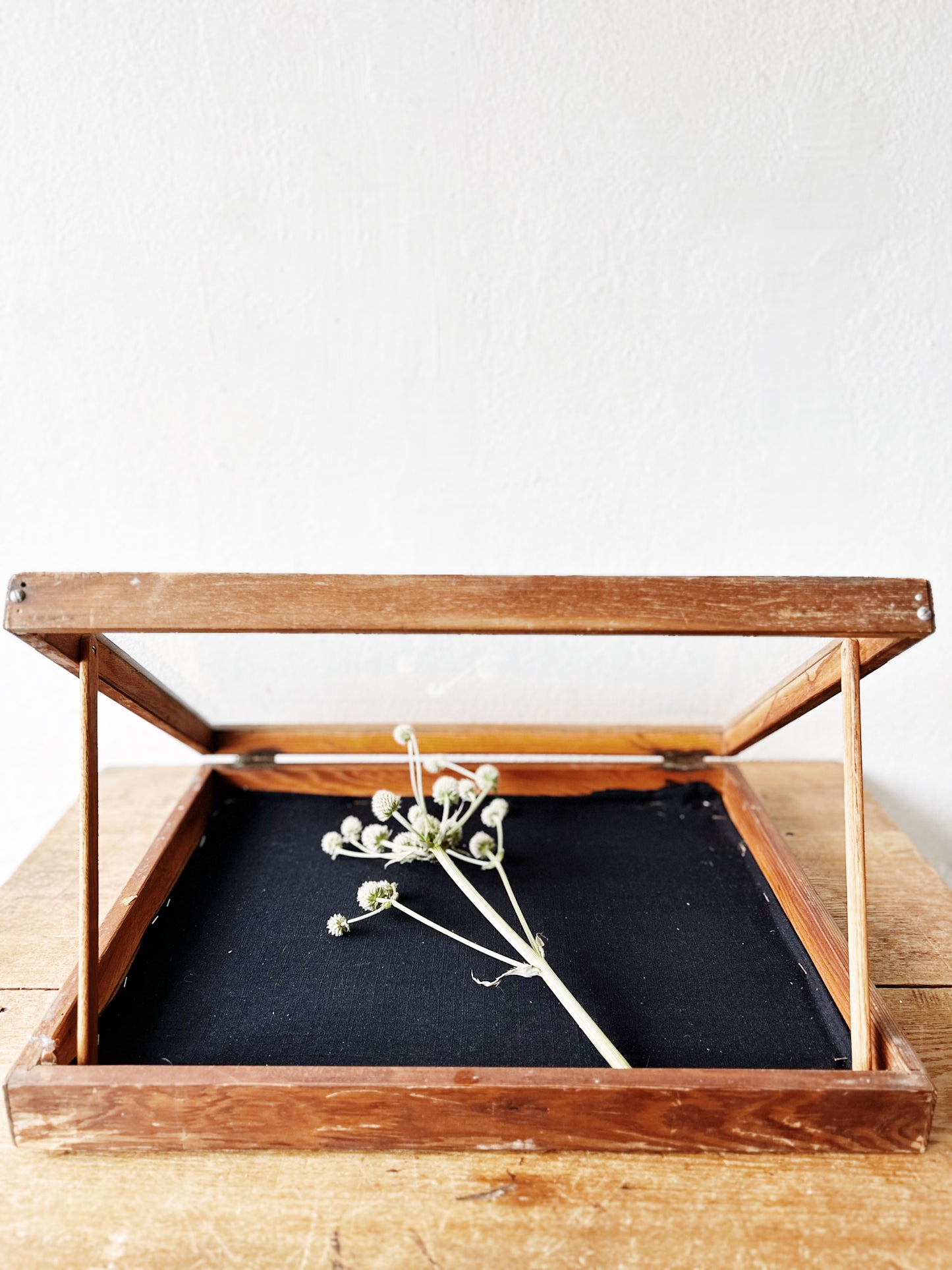 Vintage Display Case