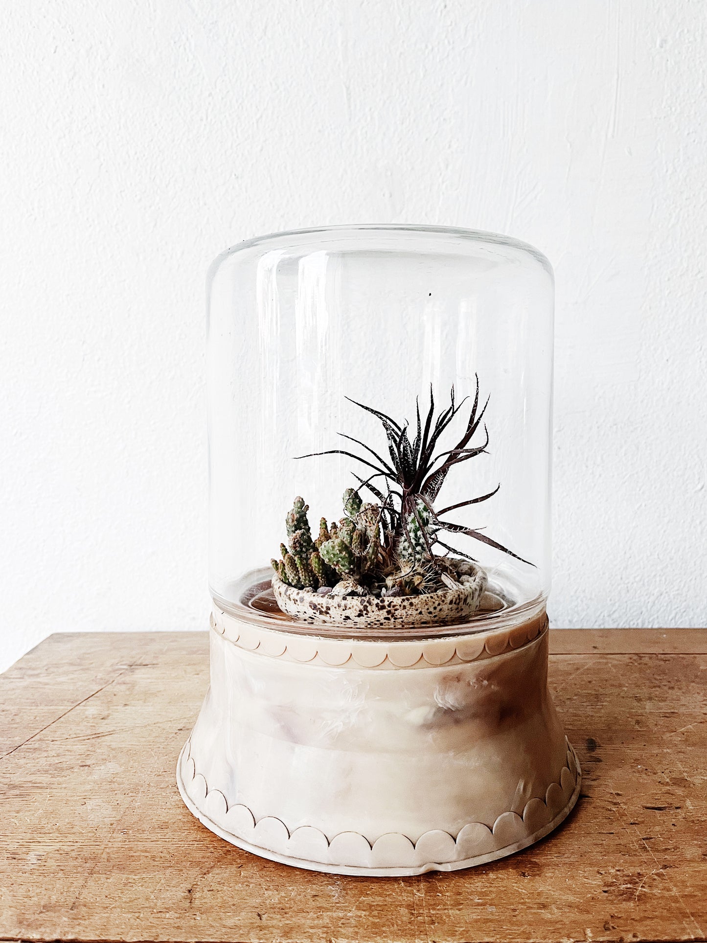Mid Century Lighted Grow Terrarium