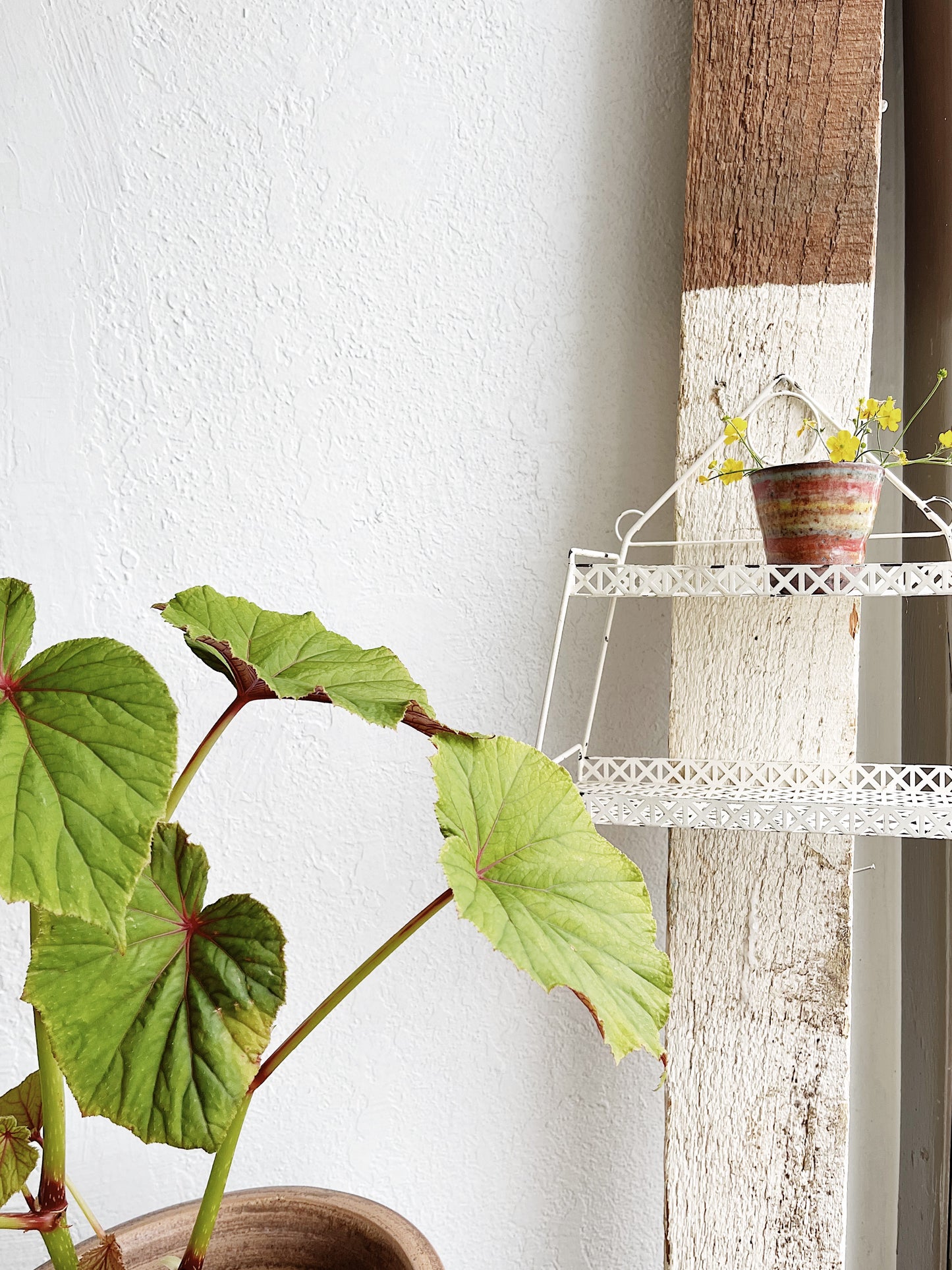 Vintage Mid Century Mesh Shelf
