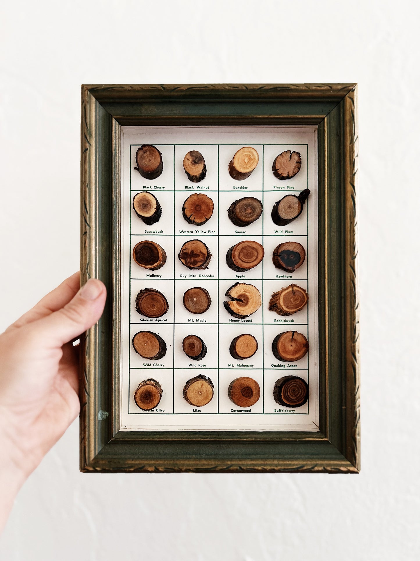 Vintage Wood Sampler