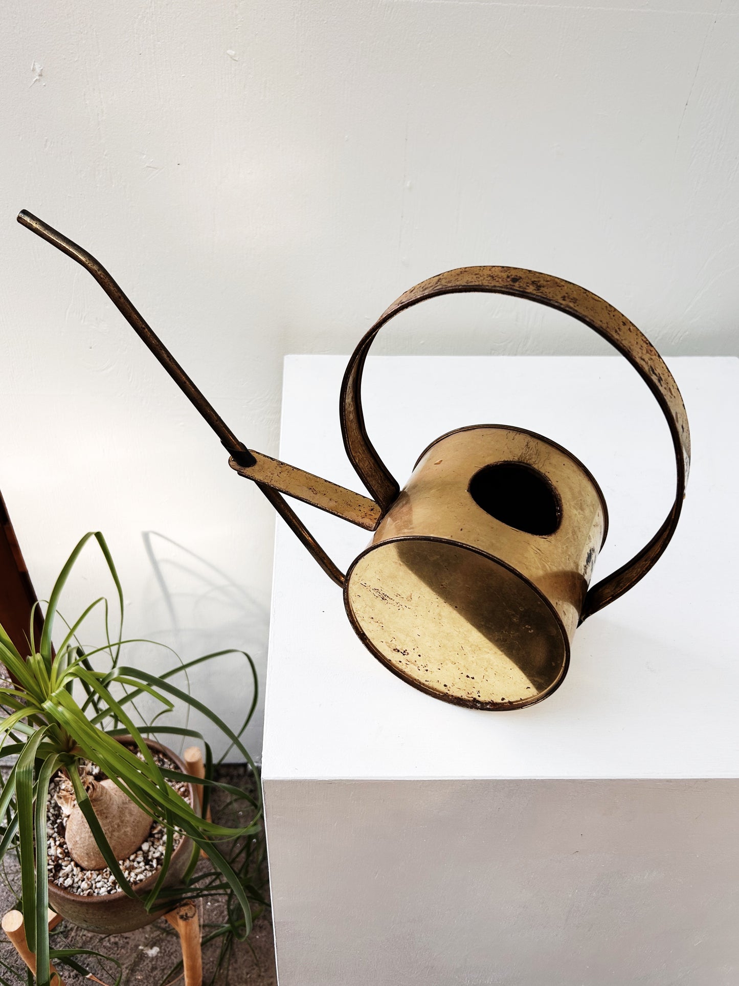 Vintage Brass Watering Can