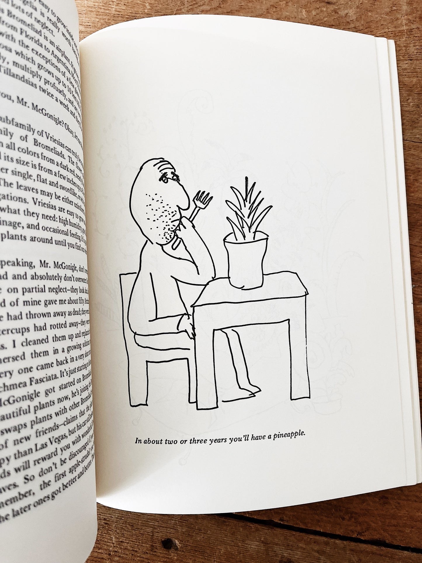 Vintage Plant Book