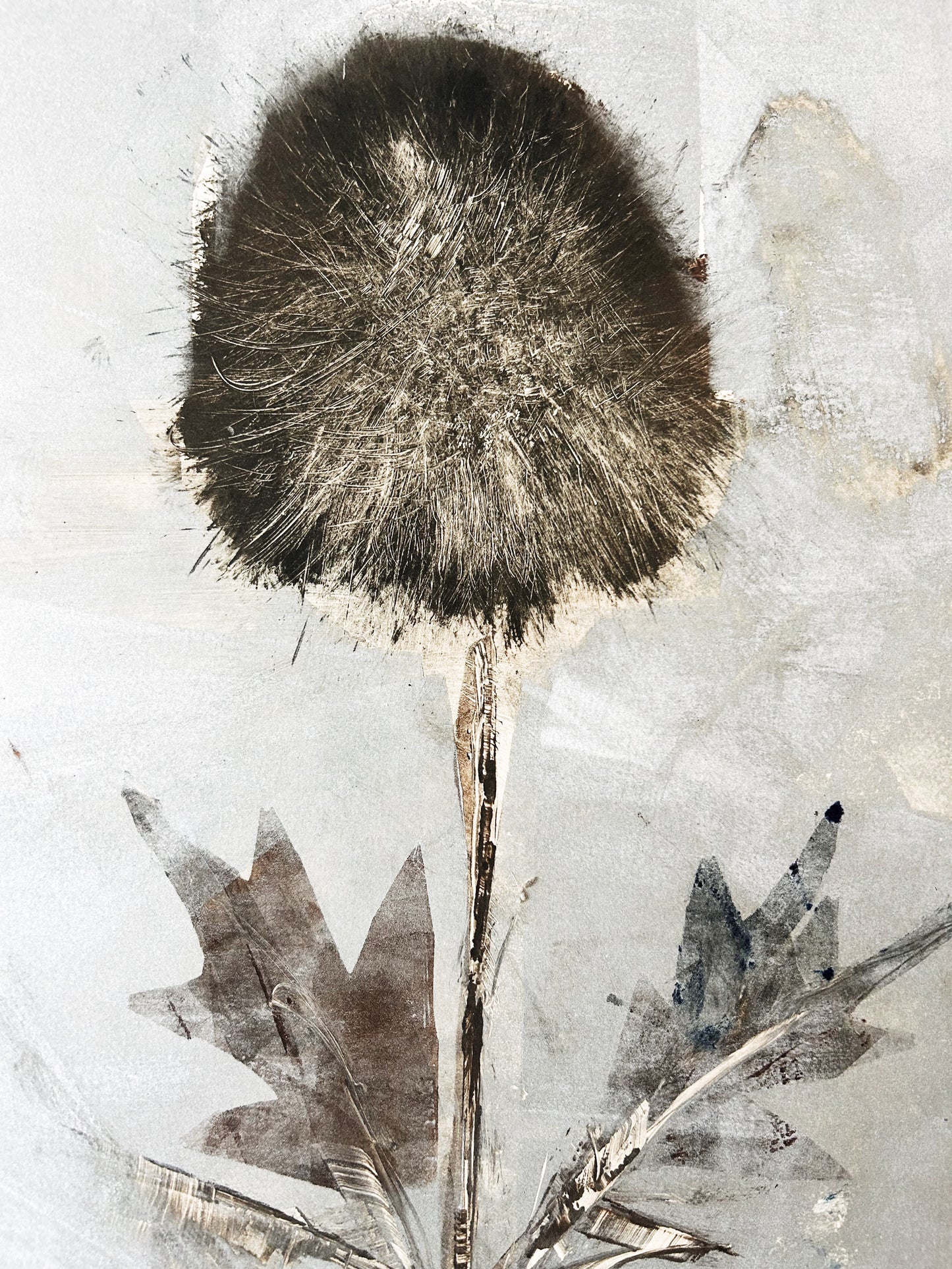 Large Vintage Botanical Etching
