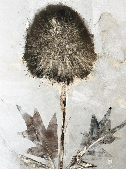 Large Vintage Botanical Etching