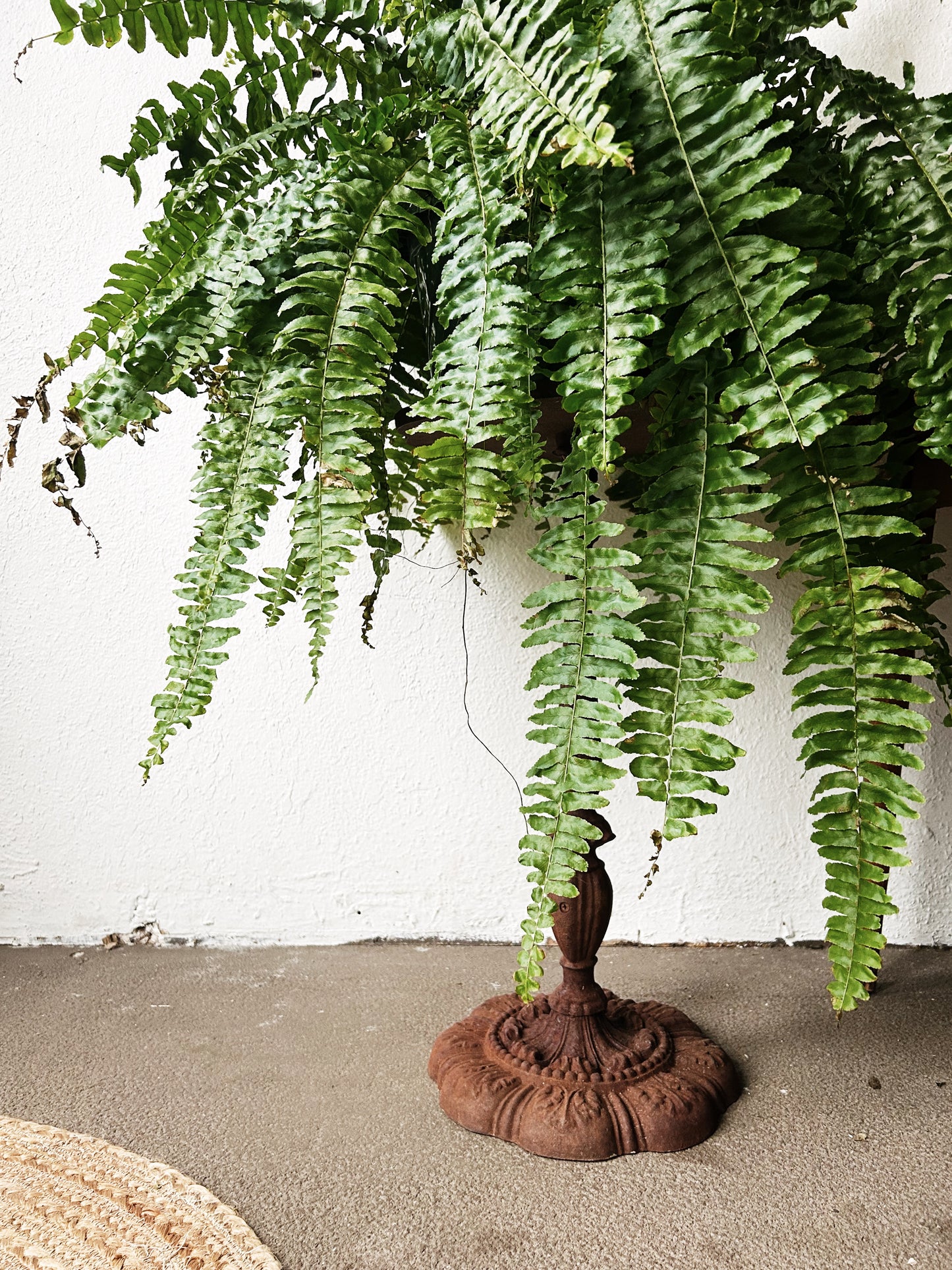 Antique Cast Iron Plant Stand