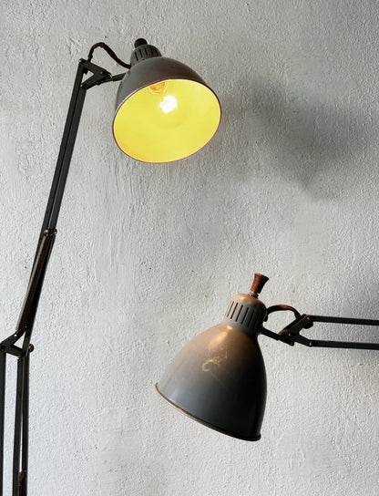 Matching XL Early Luxo Anglepoise Lamps