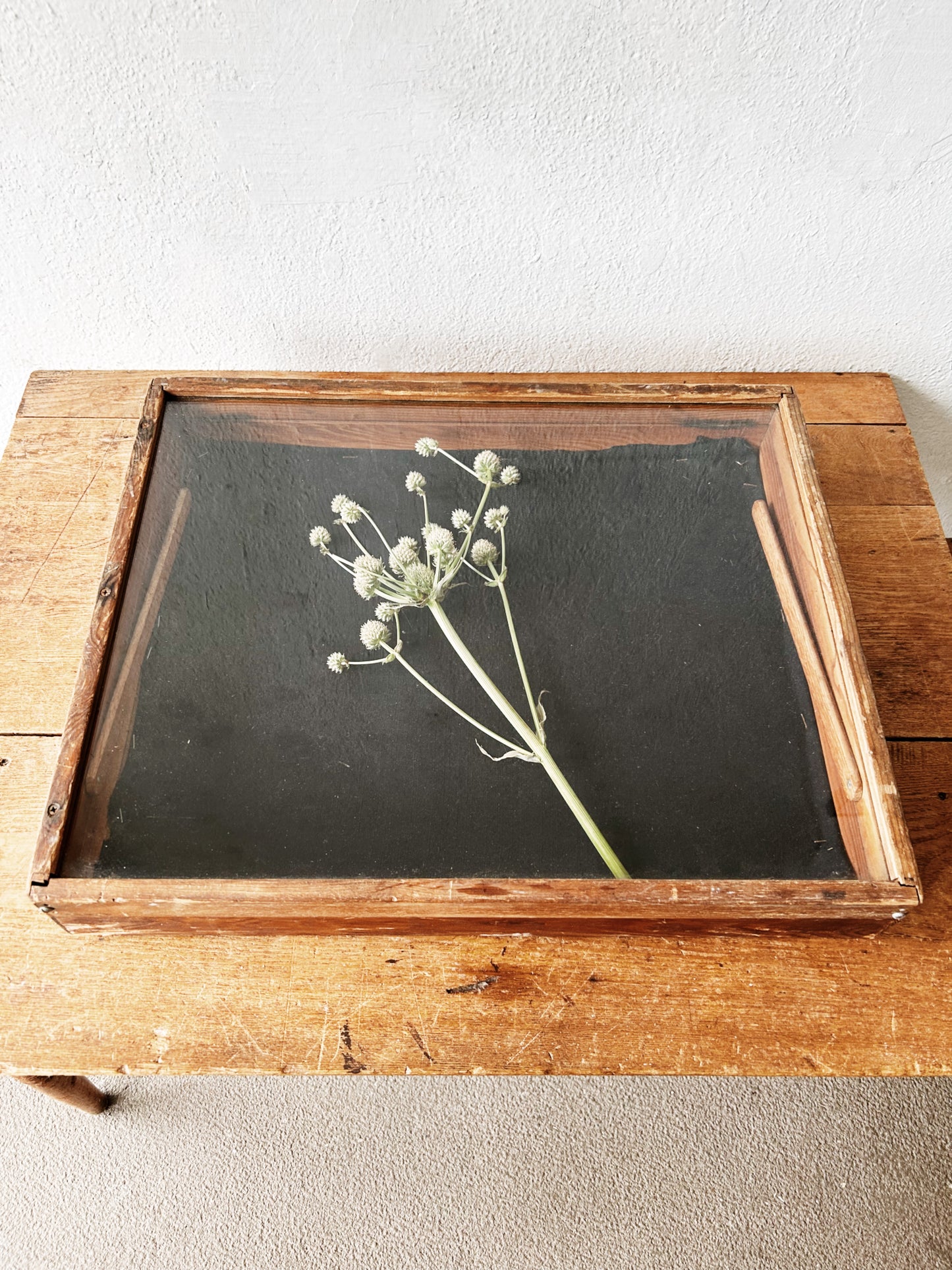 Vintage Display Case