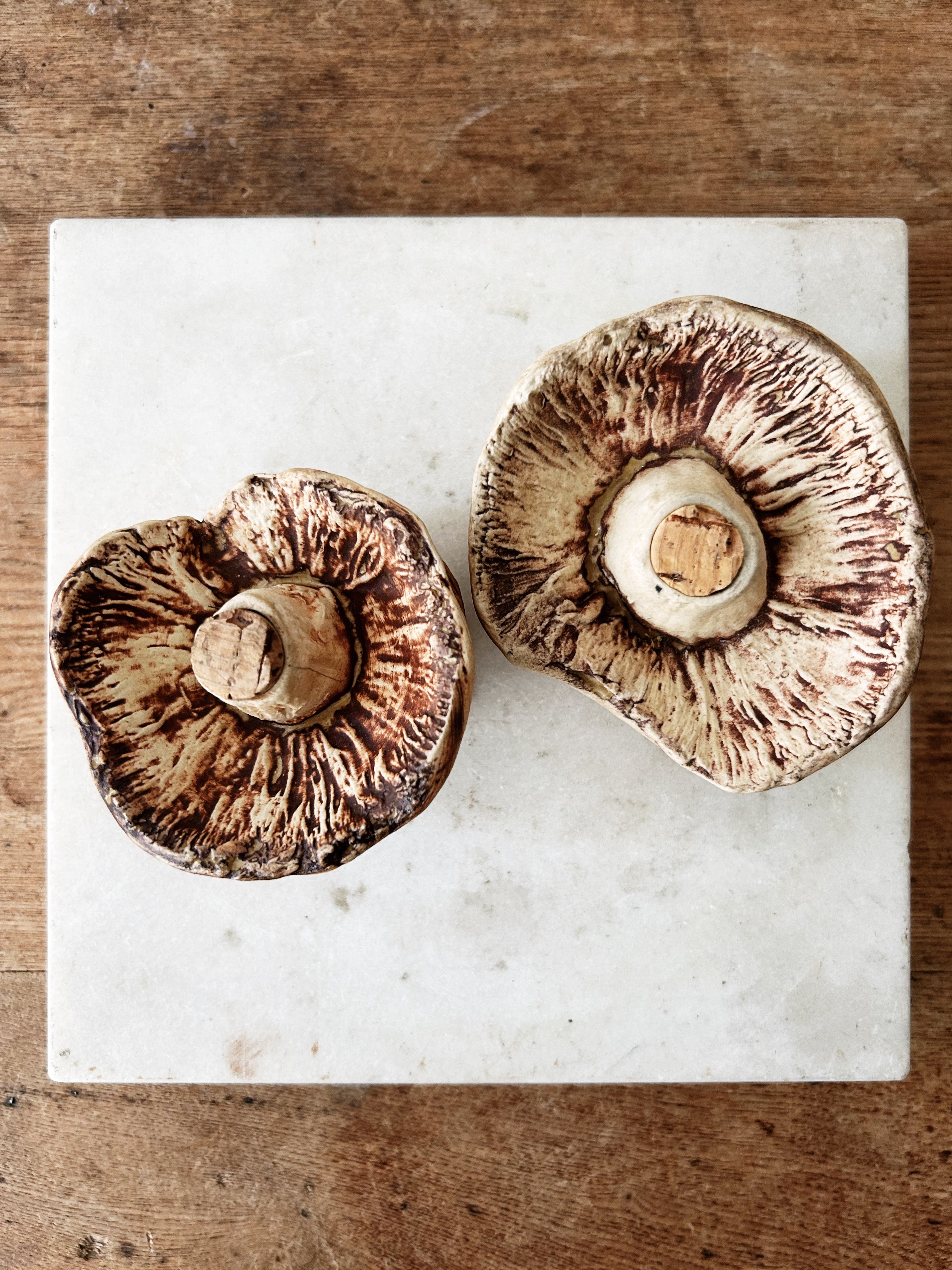 Ceramic Mushroom Salt and Pepper Shakers