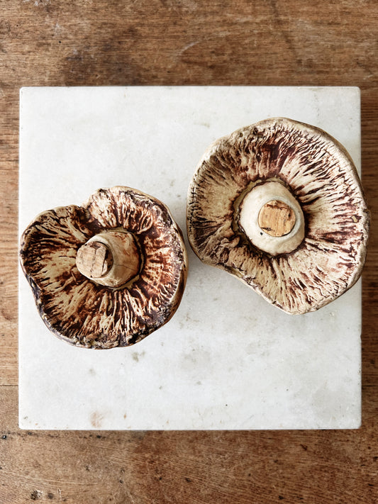 Ceramic Mushroom Salt and Pepper Shakers