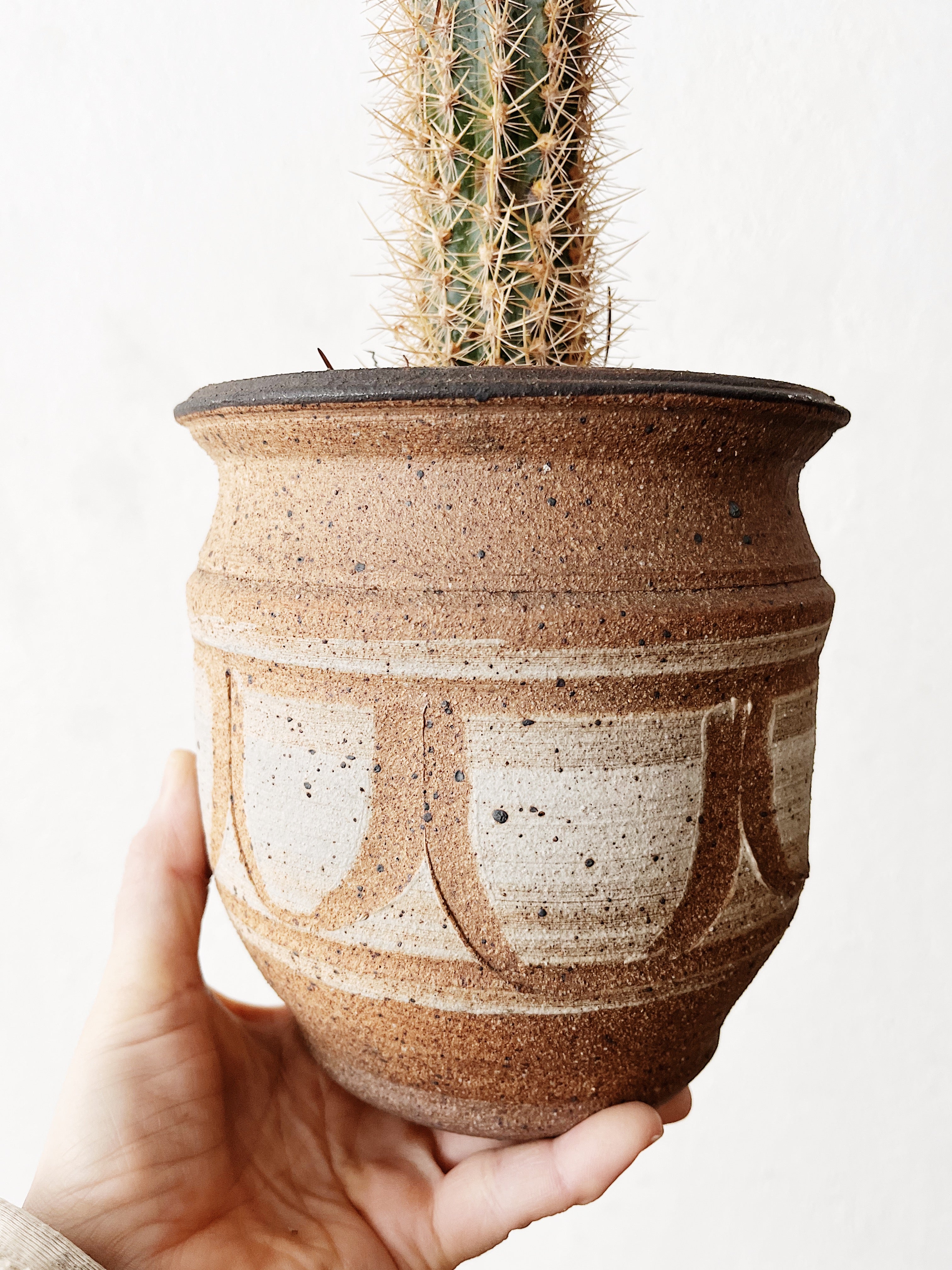 Cleistocactus strausii in Handmade Ceramic
