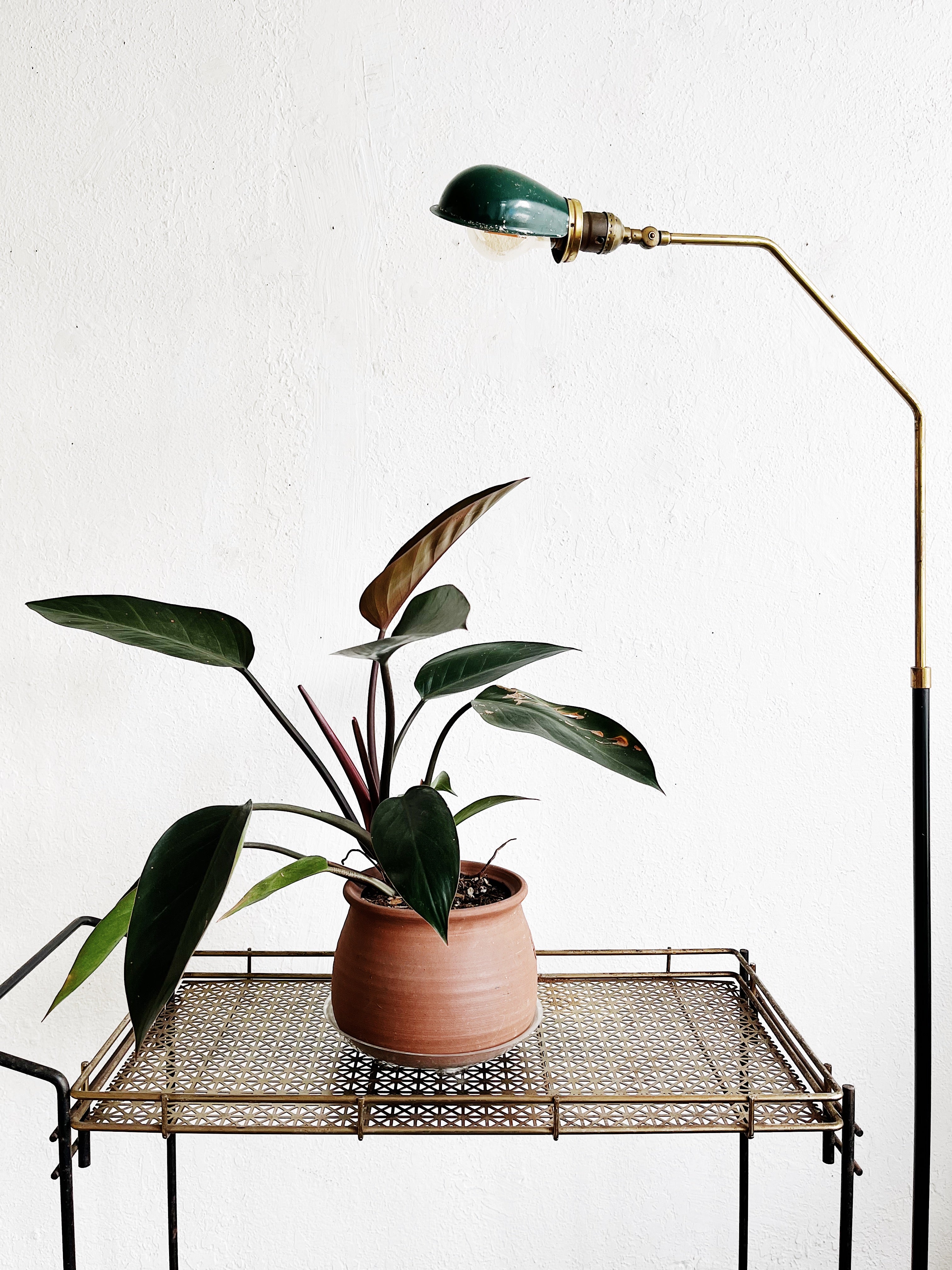 Vintage Mesh Cart - Thumbnail 3