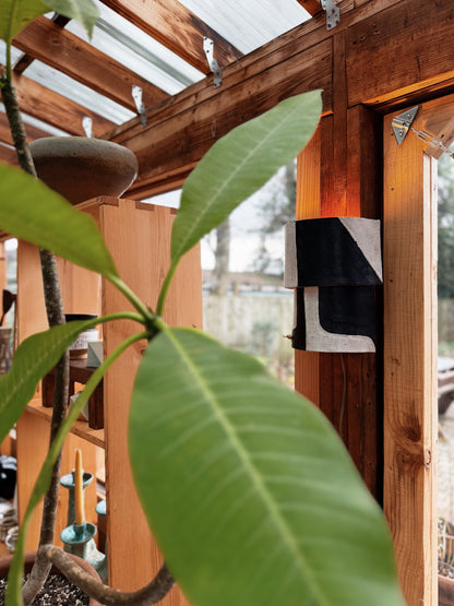 Rebecca Boraz Ceramic Wall Sconce