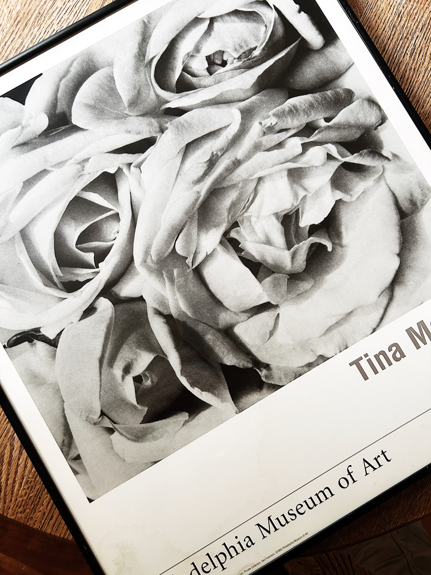 Vintage Tina Modotti Exhibit Print