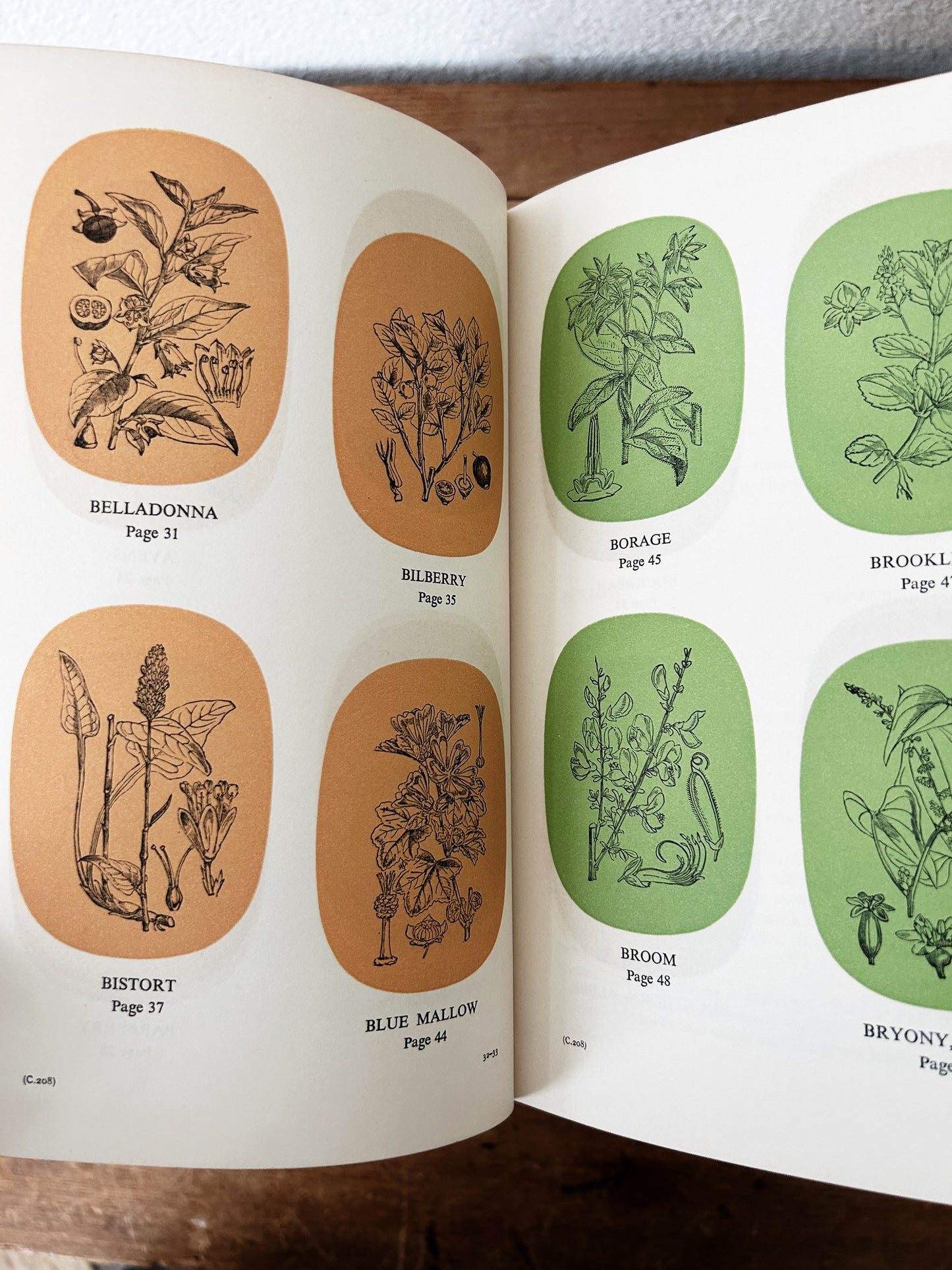 Potter’s New Cyclopaedia of Botanical Drugs and Preparations c1956
